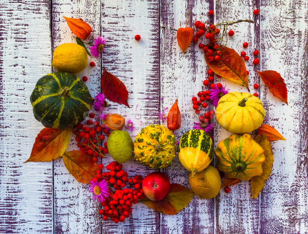 [[stock_photo]]: Automne · automne · table · légumes · fruits · table · en · bois