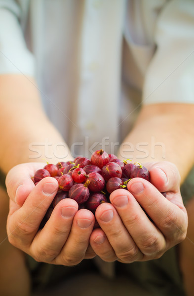Mężczyzna ręce świeże powietrze owoców żywności Zdjęcia stock © fotoaloja
