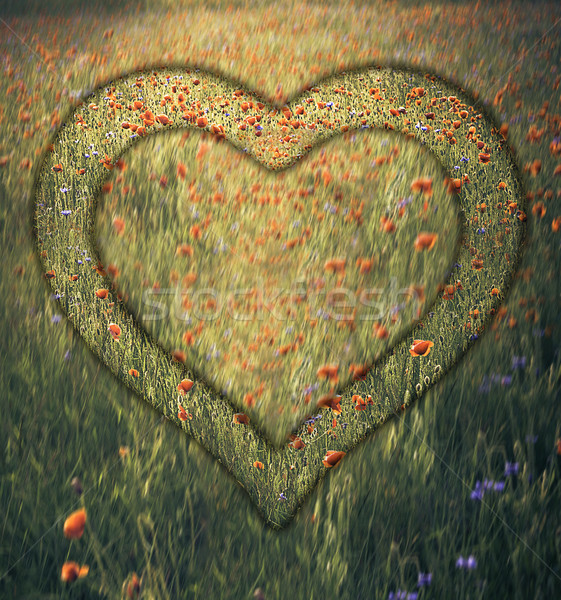 Heart frame border window meadow shape flower Stock photo © fotoaloja