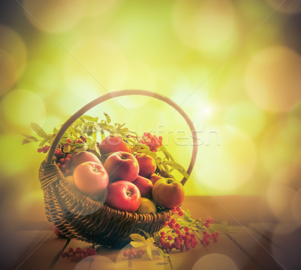 A basket full apples rowan sunset Stock photo © fotoaloja