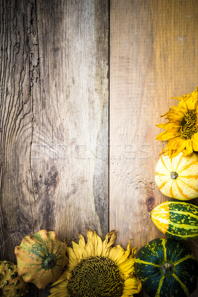 Autumn background pumpkins board Stock photo © fotoaloja