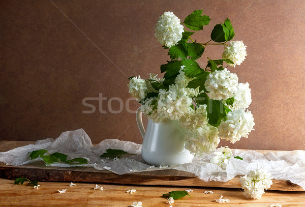 Still Life bouquet white viburnum twigs flowers Stock photo © fotoaloja