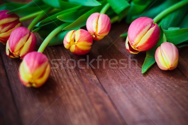 Art résumé printemps tulipes bois design [[stock_photo]] © fotoaloja