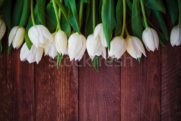 Art résumé printemps tulipes bois design [[stock_photo]] © fotoaloja