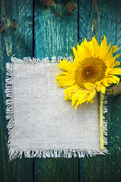 Art background summer floral flower vintage sunflower Stock photo © fotoaloja