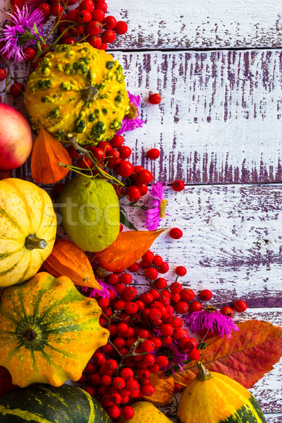 Automne automne table légumes fruits table en bois [[stock_photo]] © fotoaloja