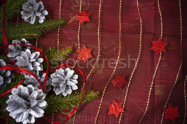 Christmas card with pines and spruce twig Stock photo © fotoaloja
