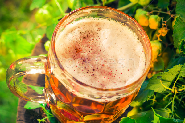 Pinte or bière bois feuille bar Photo stock © fotoaloja