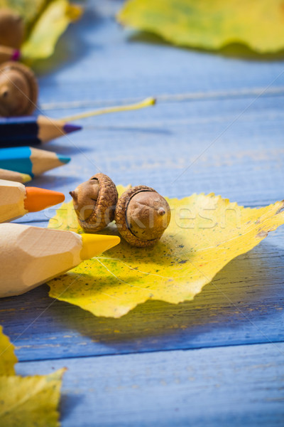 Autumn back school acorns and school Stock photo © fotoaloja