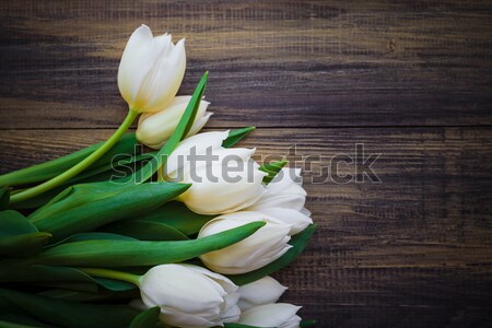 Art résumé printemps tulipes bois design [[stock_photo]] © fotoaloja