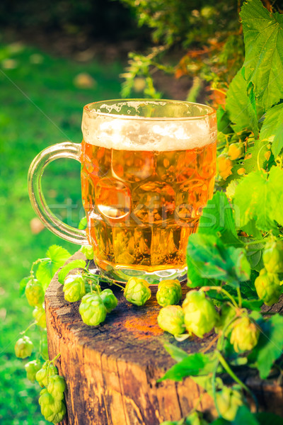 Stock photo: Pint golden beer wooden trunk