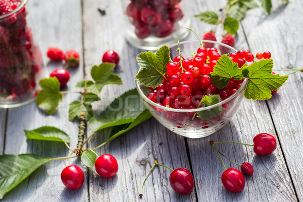 Freshly picked fruits currants cherries table Stock photo © fotoaloja