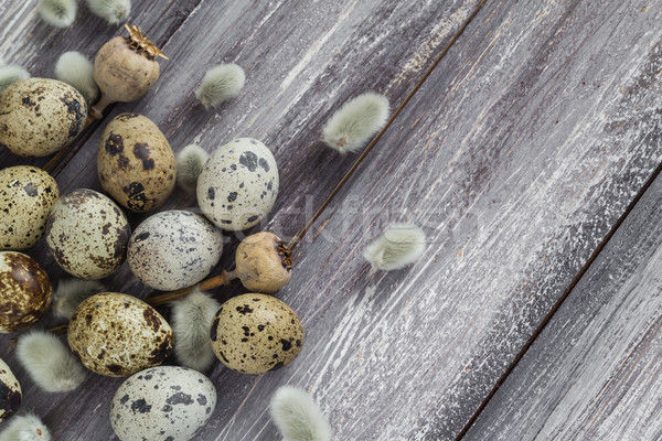 Pasen eieren houten tafel voorjaar natuur ei Stockfoto © fotoaloja