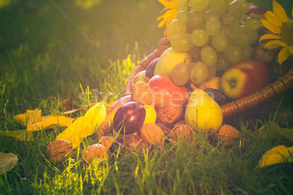 [[stock_photo]]: Panier · plein · fruits · herbe · coucher · du · soleil · lumière