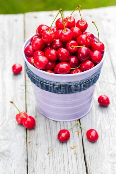 Freshly picked cherry fruit decorative bucket Stock photo © fotoaloja