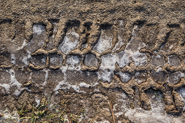 tread pattern tire frozen ground Stock photo © fotoaloja