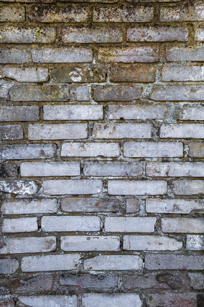 Old farm building wall white brick Stock photo © fotoaloja