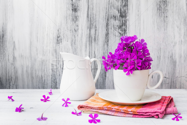 Still life white china flowers Stock photo © fotoaloja