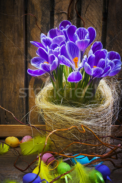Arte ovo de páscoa cesta cartão açafrão Foto stock © fotoaloja