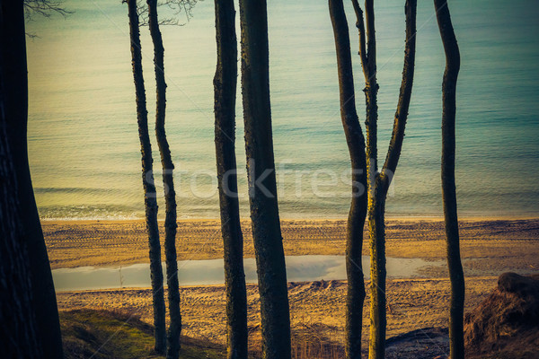 Kilátás part Balti-tenger tavasz tenger háttér Stock fotó © fotoaloja