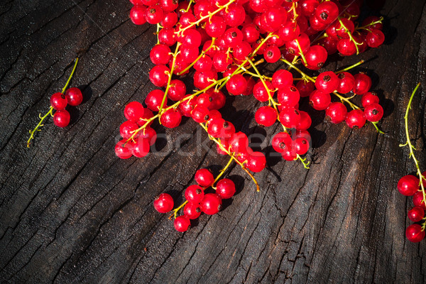 Foto stock: Vermelho · groselha · fruto · banco · tabela