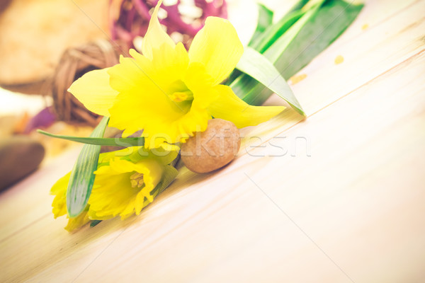 Spa setting flower Zen stones Stock photo © fotoaloja