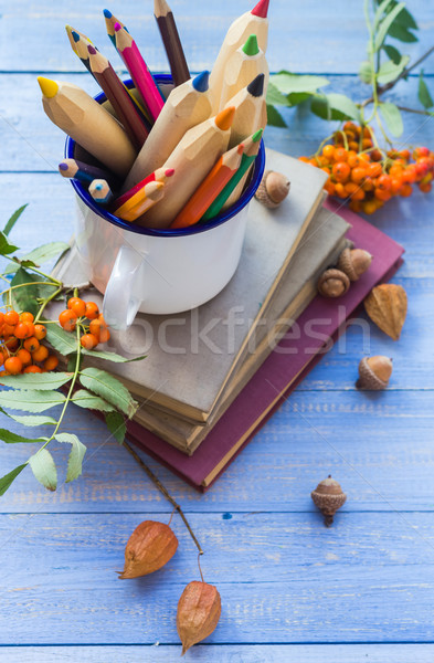 Pencils books concept back school autumn fruit Stock photo © fotoaloja