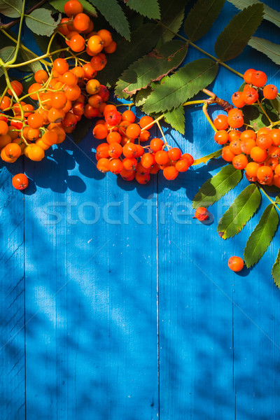 水果· 藍色 · 性質 · 背景 - 商業照片 © yotka (fotoaloja) (f