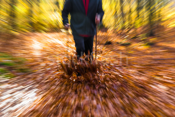 Nordic walking sport run walk motion blur outdoor person legs fo Stock photo © fotoaloja