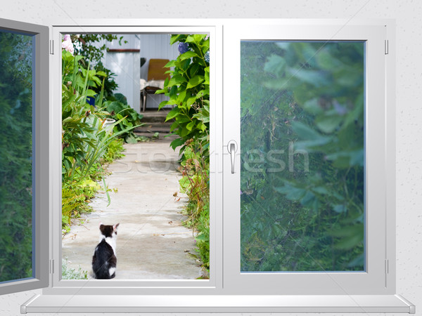 View finestra corsia cat 3D casa Foto d'archivio © fotoaloja