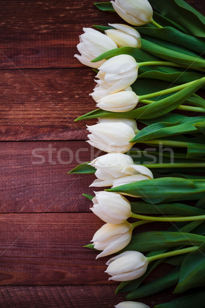 Art résumé printemps tulipes bois design [[stock_photo]] © fotoaloja