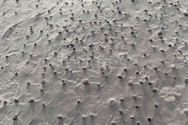 песчаный пляж покрытый природы фон Сток-фото © fotoaloja