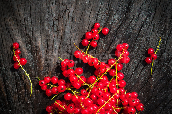 red currant fruit scattered wooden bench table Stock photo © fotoaloja