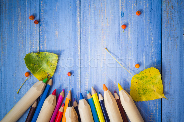 Vintage background colored pencils autumn fruits blue table Stock photo © fotoaloja