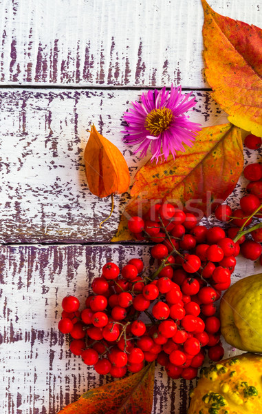 Autunno caduta tavola verdura frutta tavolo in legno Foto d'archivio © fotoaloja