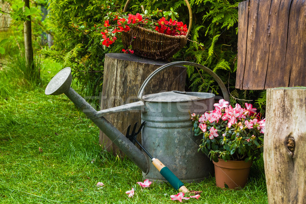 Foto stock: Diferente · ferramentas · plantas · primavera · jardim · grama