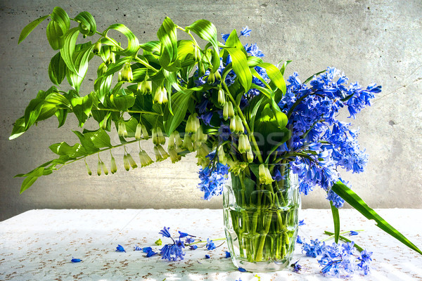 Still life bouquet polygonatum blue tones Stock photo © fotoaloja