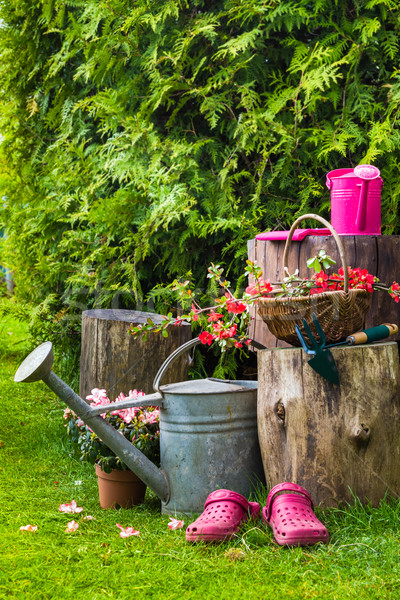 Frühling Garten Werkzeuge Besteck Gartenarbeit müssen Stock foto © fotoaloja