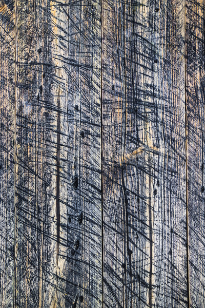 wall wooden planks painted grey Stock photo © fotoaloja