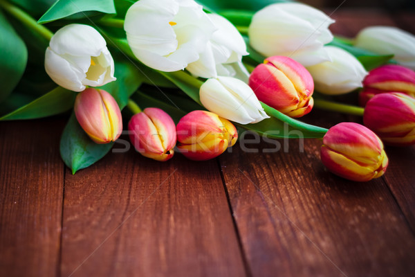 Art résumé printemps tulipes bois design [[stock_photo]] © fotoaloja