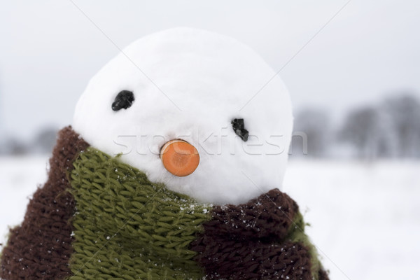 Zdjęcia stock: Snowman · obraz · twórczej · twarz · człowiek · śniegu