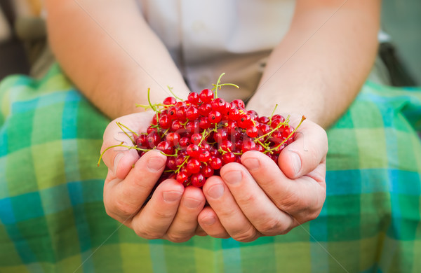 Masculina manos rojo grosella frutas Foto stock © fotoaloja