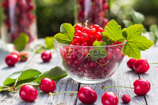Freshly picked fruits currants cherries table Stock photo © fotoaloja