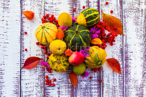 Autunno caduta tavola verdura frutta tavolo in legno Foto d'archivio © fotoaloja