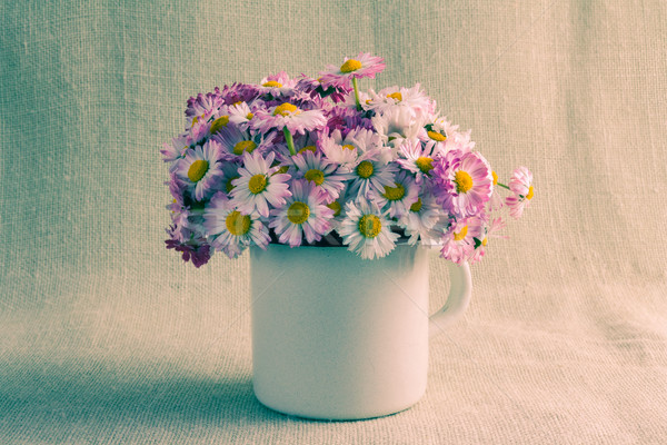 Still life bouquet daisies Stock photo © fotoaloja