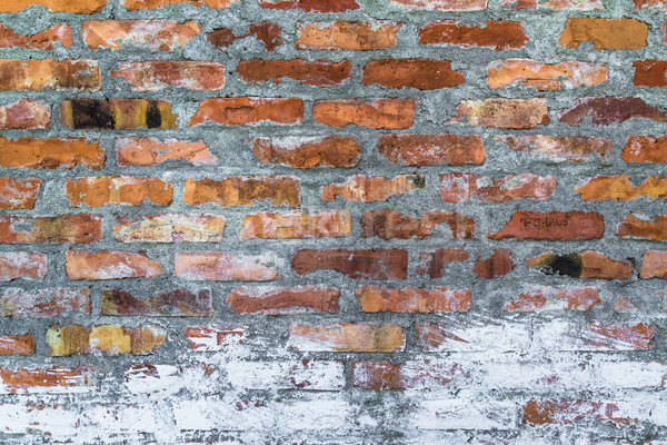 old defense wall red bricks Stock photo © fotoaloja