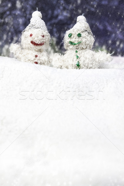 Paire heureux souriant hiver paysages famille [[stock_photo]] © fotoaloja