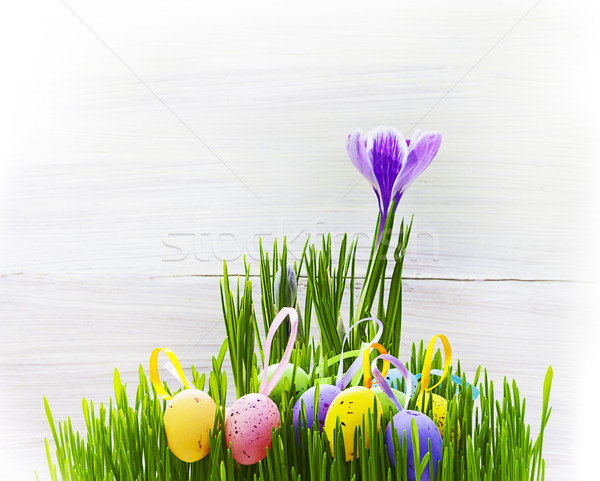 Easter Egg background wooden card spring flower grass Stock photo © fotoaloja