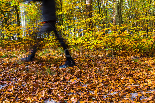 Nordic walking sport run walk motion blur outdoor person legs fo Stock photo © fotoaloja