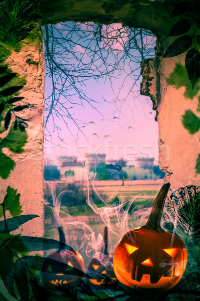 Halloween project pumpkins old ruins View window castle Stock photo © fotoaloja